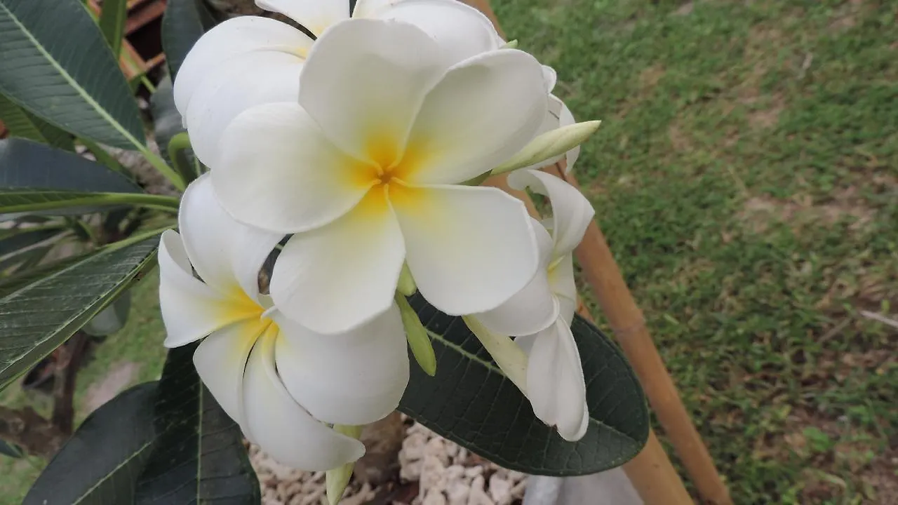 酒店 慵懒时光简易别墅旅馆 Ko Lanta
